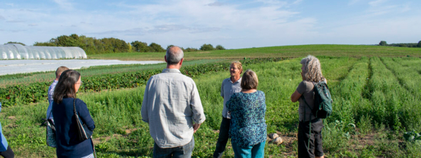 Trecker auf Feld