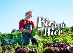 KI generiert: Das Bild zeigt einen Mann in einem Gemüsegarten, der frisches Gemüse hält, mit einer Kiste voll Gemüse im Hintergrund. Daneben steht der Schriftzug "Bio von Hier".