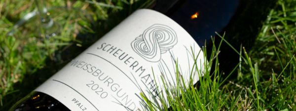 Scheuermann Weissburgunder im Gras