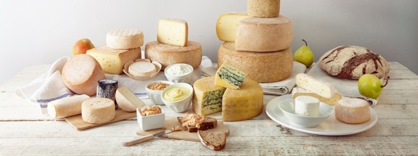 Käse