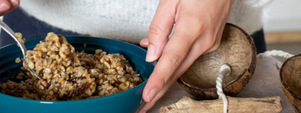 Kokosnuss mit Vogelfutter befüllen