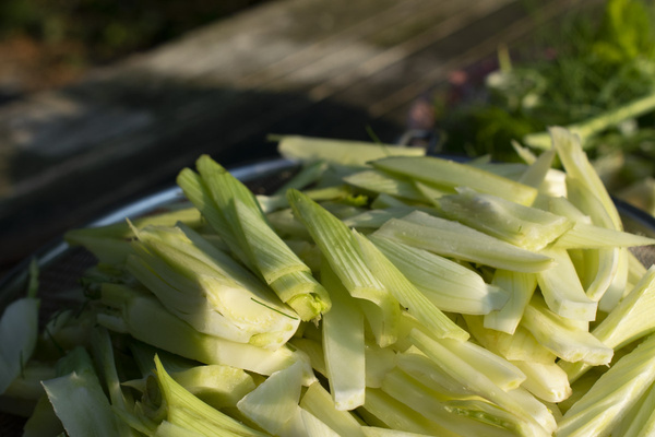 Fenchel geschnitten