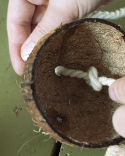 Schnur durch Kokosnussschale ziehen