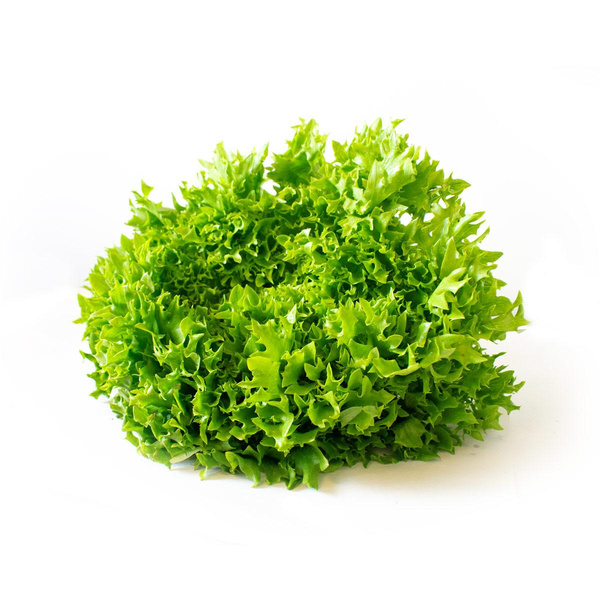 Produktfoto zu Salat Crispy rot oder grün