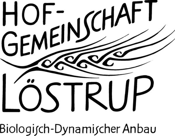 Produktfoto zu Weizenvollkornmehl 1 kg