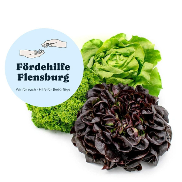 Produktfoto zu Spende: Salat der Woche