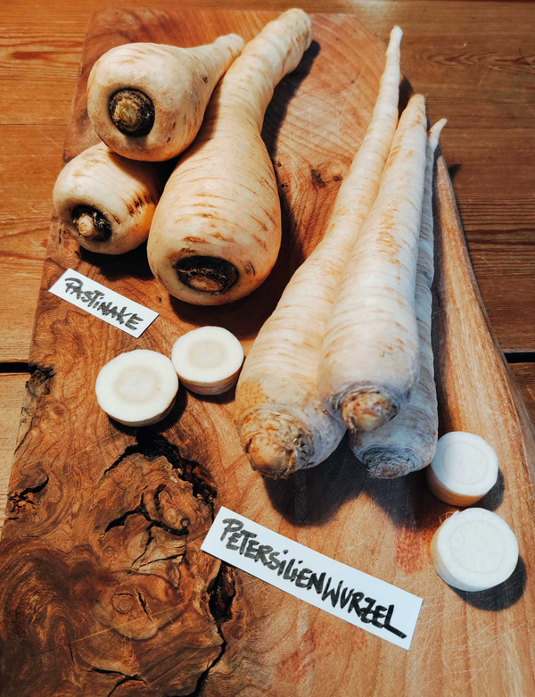 KI generiert: Pastinaken und Petersilienwurzeln auf Holzbrett. Text: "Pastinake" und "Petersilienwurzel".
