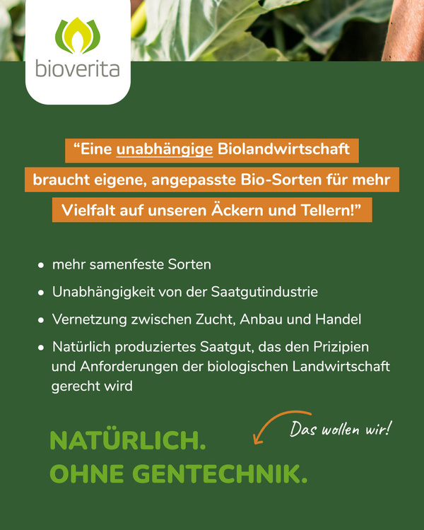 KI generiert: Werbung für eine unabhängige Biolandwirtschaft und gentechnikfreies Saatgut.

Text: 
- "Eine unabhängige Biolandwirtschaft braucht eigene, angepasste Bio-Sorten für mehr Vielfalt auf unseren Äckern und Tellern!"
- "mehr samenfeste Sorten"
- "Unabhängigkeit von der Saatgutindustrie"
- "Vernetzung zwischen Zucht, Anbau und Handel"
- "Natürlich produziertes Saatgut, das den Prinzipien und Anforderungen der biologischen Landwirtschaft gerecht wird"
- "NATÜRLICH. OHNE GENTECHNIK."
- "Das wollen wir!"