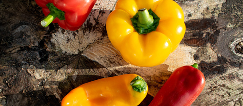KI generiert: Verschiedene bunte Paprika liegen auf einem rustikalen Holzhintergrund.