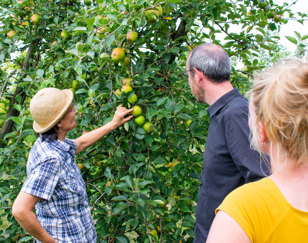 Inde, Jens und Marie im Apfelgarten