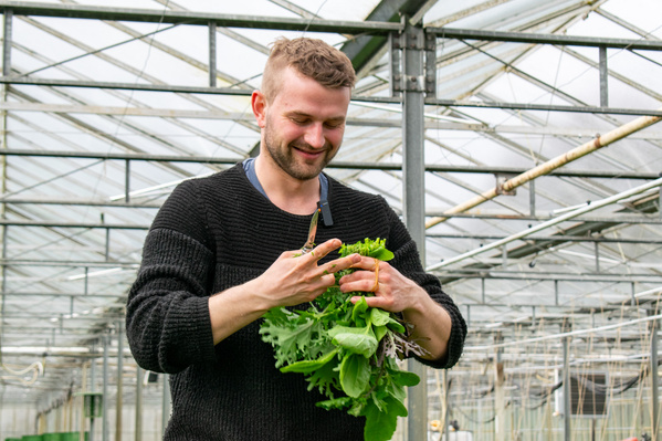 KI generiert: Eine Person hält frisches Gemüse in einem Gewächshaus und lächelt.