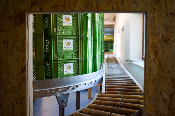 KI generiert: Grüne Kisten auf einem Förderband in Lagerumgebung. Text: "Biokiste Angelin - einfach regional, einfach gut."