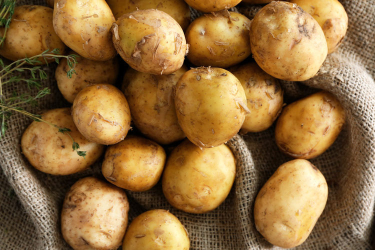 Neue Kartoffeln auf Jutesack