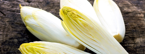 Chicorée geschnitten