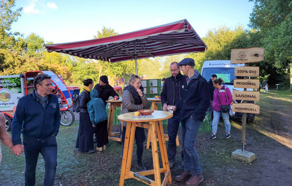 Phaclia auf der Blumenwiese