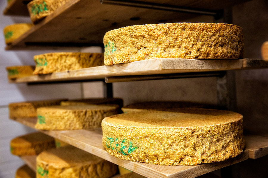 KI generiert: Runde Laibe gereiften Käses liegen auf Holzregalen im Lager.