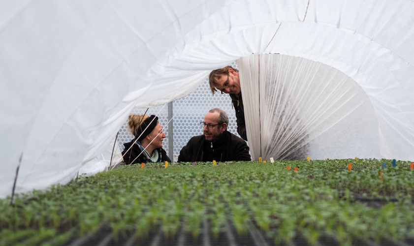 Frühlingsbesuch auf Hof Rabberg