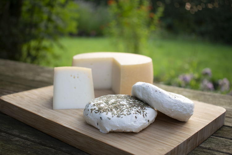 Käse