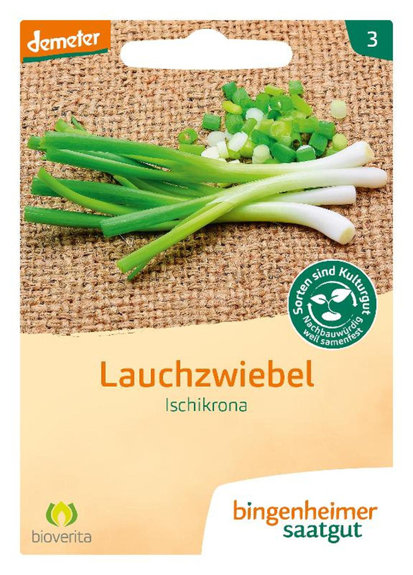 Produktfoto zu Lauchzwiebel 'Ischikrona' - Saatgut