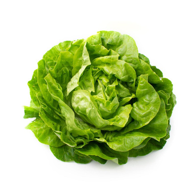 Produktfoto zu Kopfsalat -grün