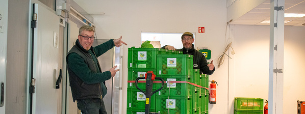 Eine alte Anzeige von Voelkel - Essig: Ein Wundermittel