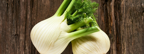 Fenchel auf Holz