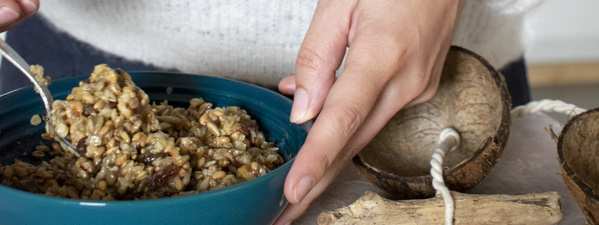 Kokosnuss mit Vogelfutter befüllen