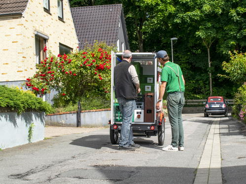Rote Bete auf dem Feld
