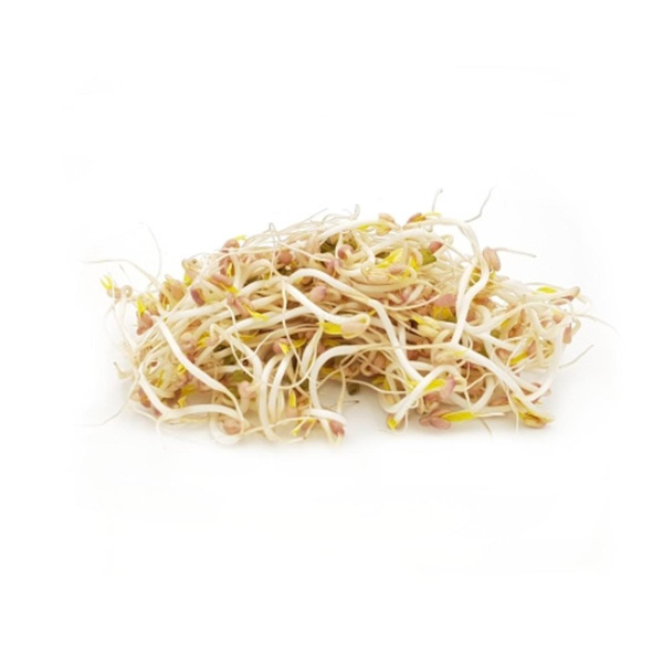 Produktfoto zu Mungbohnen Sprossen 125g