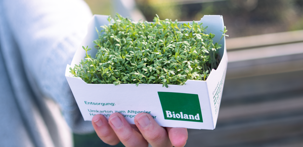 KI generiert: Eine Hand hält eine Box mit Kresse; Text: "Entsorgung: Umkarton zum Altpapier, Bioland".