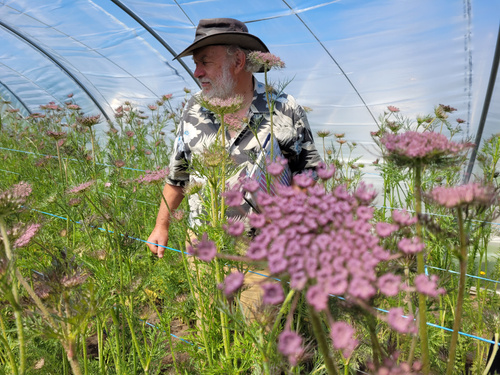 Heinz-Peter und lila Möhren