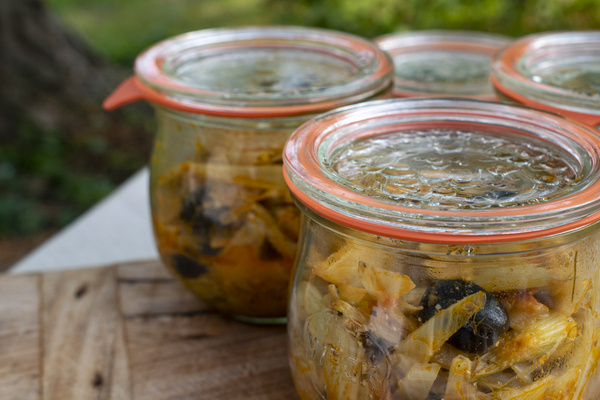 Eingeweckter Fenchel