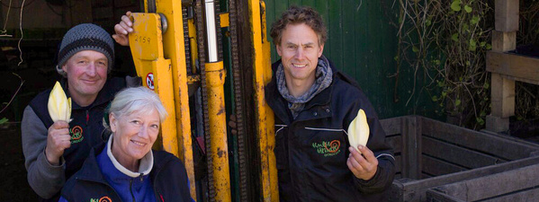 Gemüsegärtnerei Gondesen