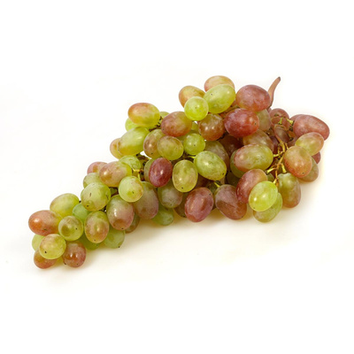 Produktfoto zu Trauben rot kernlos "Pink Muscat"