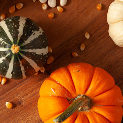 Produktfoto zu Heut`mal Kürbis: 10% Rabatt »