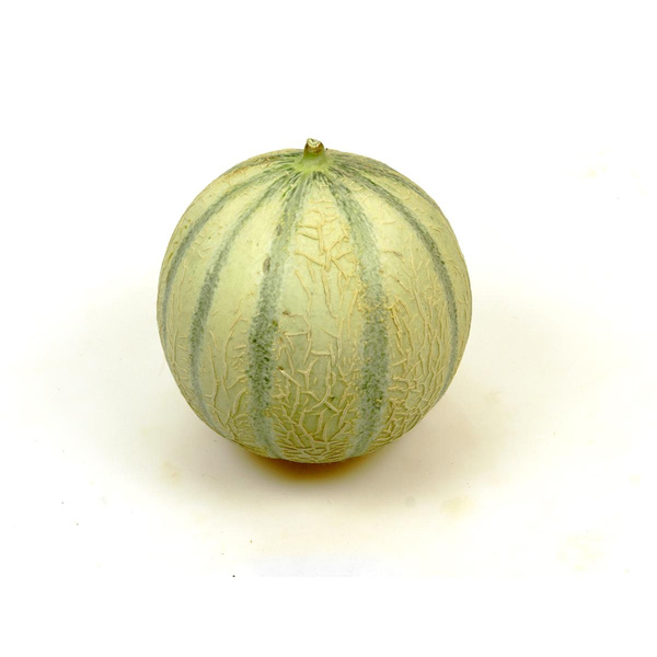 Produktfoto zu Melone Cantaloupe ca. 600g