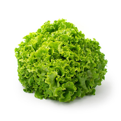 Produktfoto zu Batavia Salat - grün