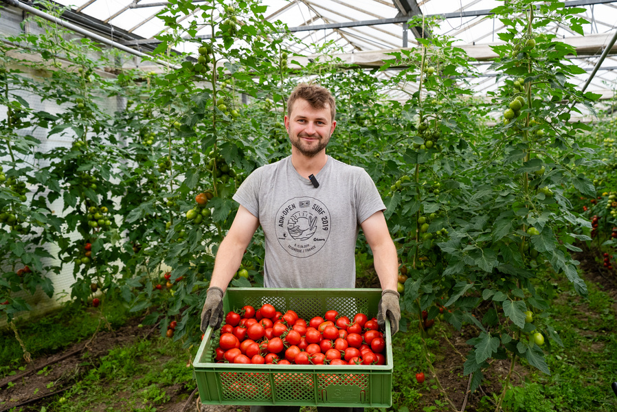 Helge von der Gemüsegärtnerei Breklingfeld mit einer Kiste voller Tomaten