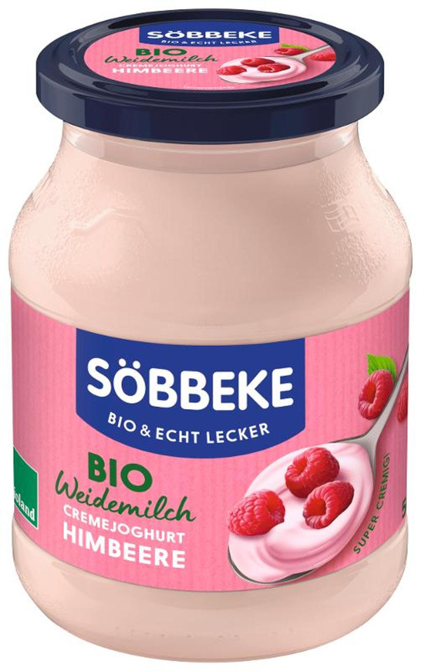 Produktfoto zu Himbeer Joghurt 500 g