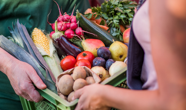 KI generiert: Eine Kiste voller frischer, bunter Gemüse und Obst wird von zwei Personen gehalten.