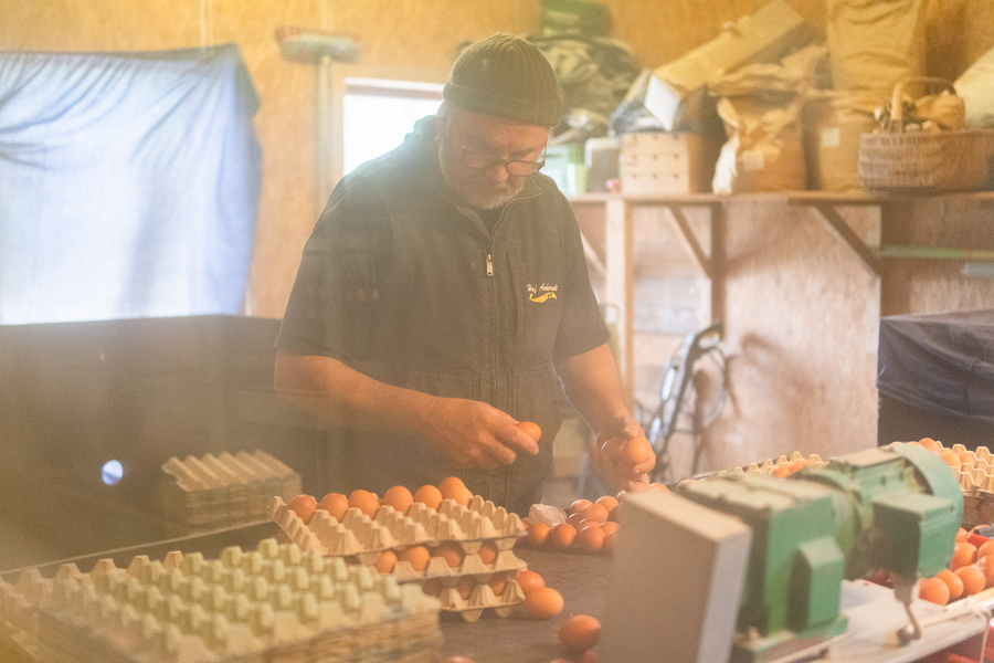 KI generiert: Ein Mann sortiert Eier in einer Werkstatt voller Kartons und Schachteln.