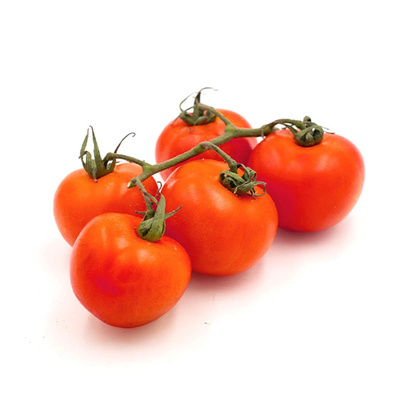 Produktfoto zu Strauchtomaten