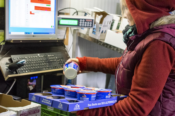 Frisches Gemüse und Obst, wie Chicorée und Grapefruit