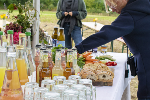 Bodenbearbeitung mit Pferden