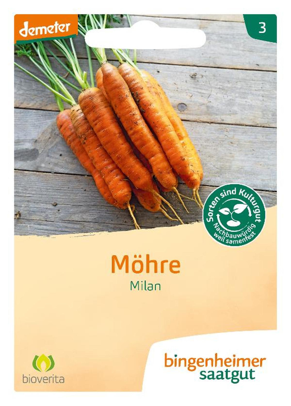 Produktfoto zu Frühmöhre 'Milan' - Saatgut