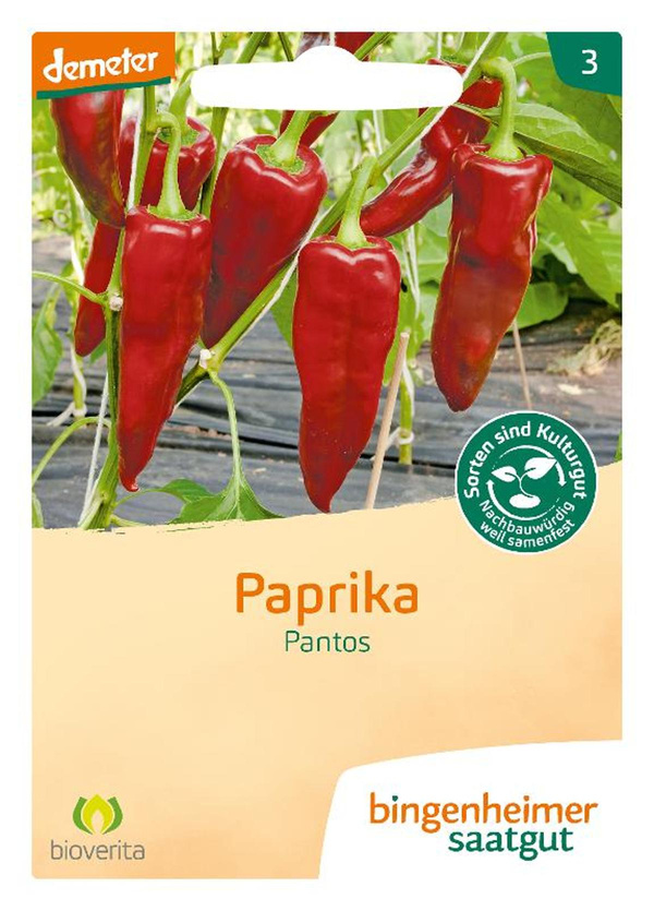 Produktfoto zu Spitzpaprika rot 'Pantos' - Saatgut