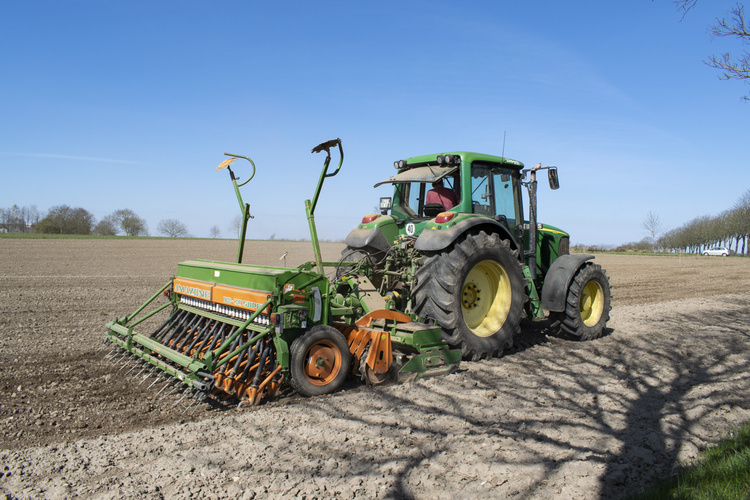 Einsaat in Ringsberg