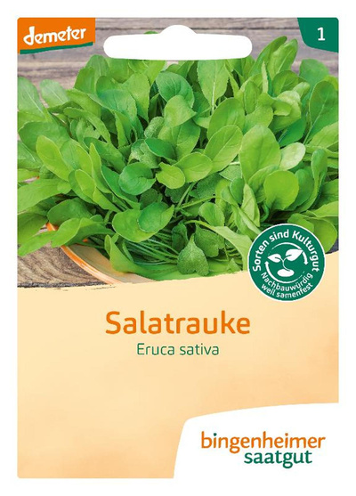 Produktfoto zu Salatrauke 'Ruca' - Saatgut