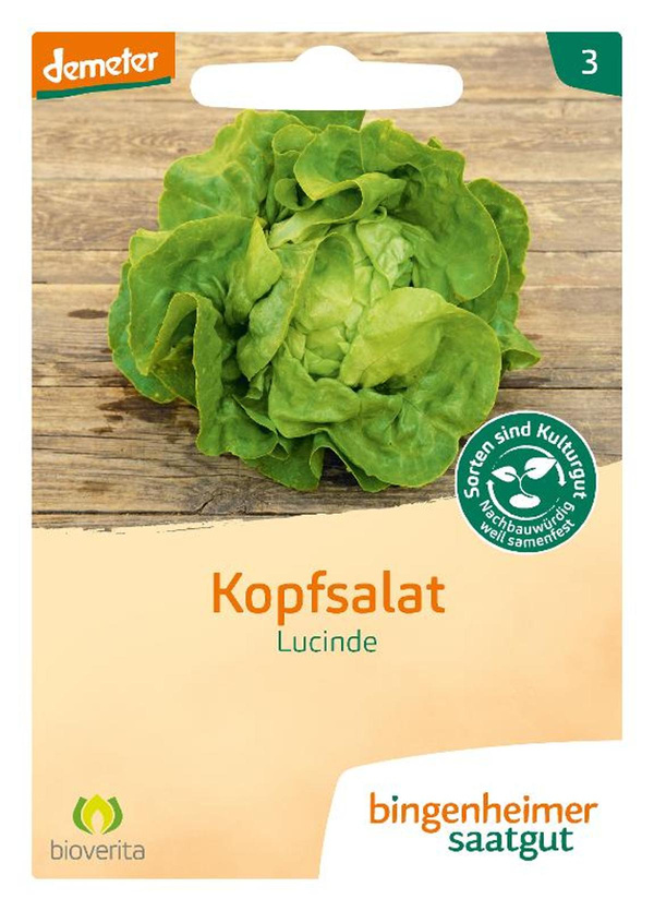 Produktfoto zu Kopfsalat 'Lucinde' - Saatgut