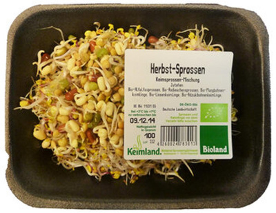 Produktfoto zu Herbst-Sprossen 100g